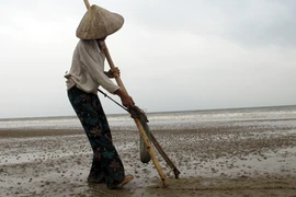 Lầm lũi phận nữ phu cào ngao
