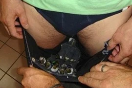 Phát hiện hàng chục chim quý trong... quần 