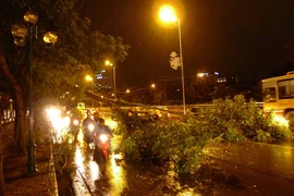 Mưa to gió lớn, Hà Nội đổ - gãy cả trăm cây đại thụ