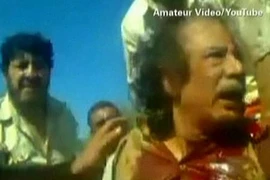 'Gaddafi cầu xin đổi tiền vàng lấy mạng sống'