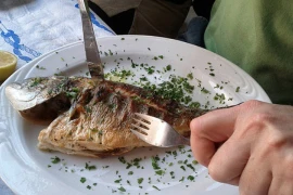 Ai không nên ăn cá hàng ngày?