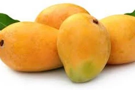 Xoài ngăn ngừa béo phì và tiểu đường