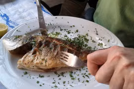 Ai không nên ăn cá hàng ngày?