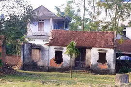 Hàng loạt vụ chết thảm trên mảnh đất “tuyệt tự” 