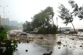 Bão số 2 không vào Việt Nam