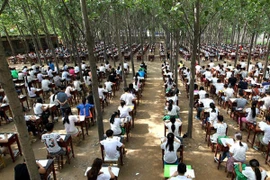 Làm bài thi trong rừng 