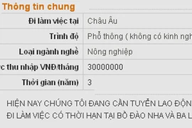 Lừa đảo đi xuất khẩu lao động trên mạng điện tử