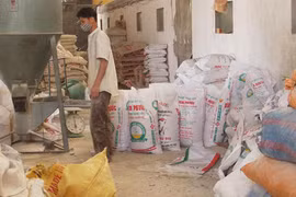 Thức ăn chăn nuôi nhập khẩu có chứa chất tạo nạc: Kẽ hở bấy lâu