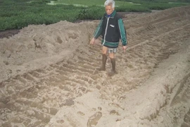 Hàng trăm ngôi mộ bị vùi lấp: Mọi việc sẽ được sáng tỏ