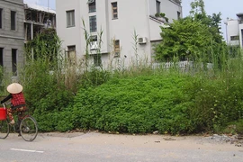 Biệt thự triệu đô bị “bỏ quên”