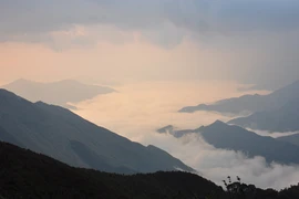 Bình minh trên đỉnh Phu Song Sung 