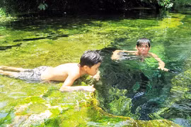 Kỳ bí "vũng nước tiên" xứ Nghệ