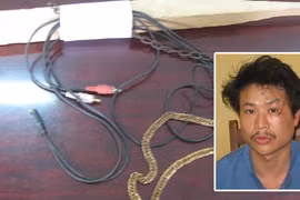 Bé gái 10 tuổi bị bố hành hạ như thời trung cổ 