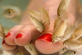 Làm đẹp “không đau”, chưa chắc an toàn 