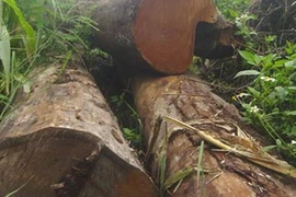 Bức bí... đầu ra