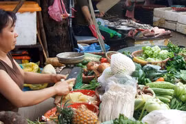 Phí chồng lên phí, nông dân “kêu trời” 