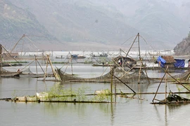 Về Mường Tấc giăng câu