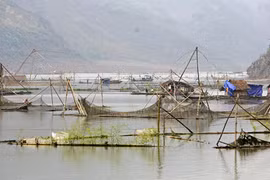 Về Mường Tấc giăng câu