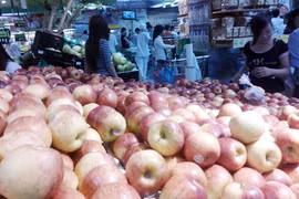 Khó kiểm soát hoa quả Trung Quốc