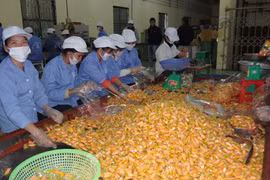 Sợ thực phẩm “3 không”