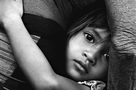 Nhiếp ảnh Việt Nam: Nhiều tiếc nuối