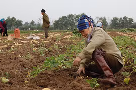 Tiếp tục giao đất 20 năm