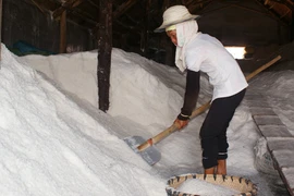 Sản xuất muối công nghiệp: Điều bất thường cần làm rõ