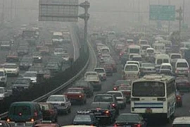 “Vô sinh” vì vô cảm