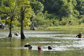 Thiên đường miền đá núi 