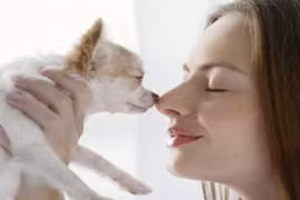 Liệt chi vì ngủ cùng thú nuôi 