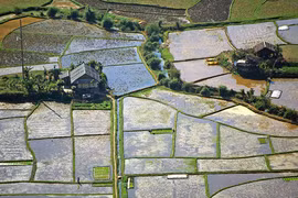 Thuần khiết vẻ đẹp Mai Châu
