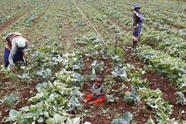 Trả đất cho nước nghèo 