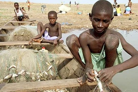 Nhức nhối nô lệ thời hiện đại