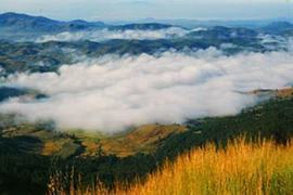 Lên đỉnh Langbiang bằng xe “căng hải”