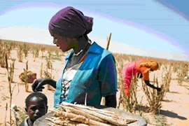 Phòng ngừa rủi ro