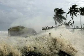 Báo động thảm họa thiên tai 