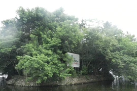 Dự án xây dựng trên đảo hồ Trúc Bạch: Tranh cãi đến bao giờ?