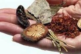 Bệnh khớp ở người cao tuổi