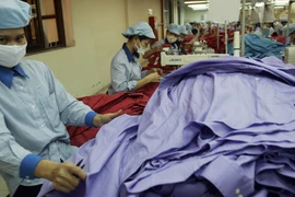 5 năm Việt Nam gia nhập WTO: Bộc lộ những điểm yếu 