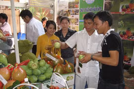 Hoa quả nội lên ngôi 