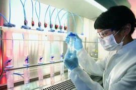 Thông tin gây sốc mới xuất hiện một bệnh giống bệnh AIDS: Chỉ là tin vịt 