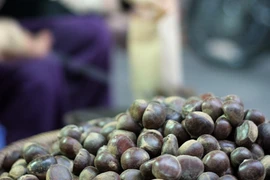 Hạt dẻ chợ Thông Huề