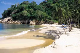 “Thiên đường” xanh vẫy gọi