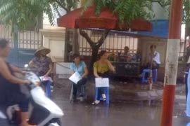 Bác sĩ “nối giáo” cho... cò 