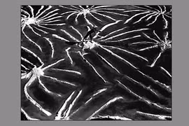 NSNA Trần Vĩnh Nghĩa: Đi tìm những khoảnh khắc tâm linh