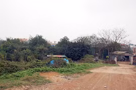 Bất động sản ế ẩm, đất dự án thành… sân bóng 