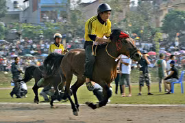 Đến Bắc Hà xem đua ngựa