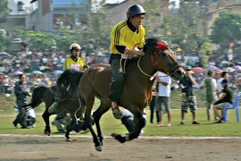 Đến Bắc Hà xem đua ngựa