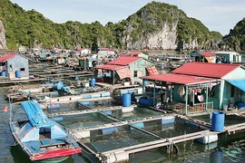 Đảo Nam Cát - vẻ đẹp hoang sơ, yên bình 