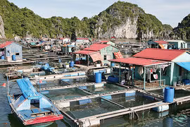 Đảo Nam Cát - vẻ đẹp hoang sơ, yên bình 